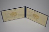 Стоимость диплома техникума МолдАССР 1975-1991 г. в Игарке (Красноярский Край)