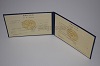Стоимость диплома техникума УзбекАССР 1975-1991 г. в Игарке (Красноярский Край)